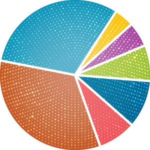 Pie Chart 4