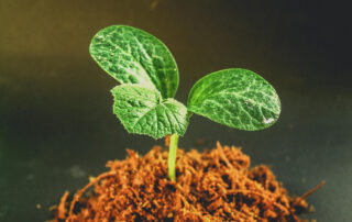 How Planned Giving Creates a Legacy That Transforms Your Community | Blog